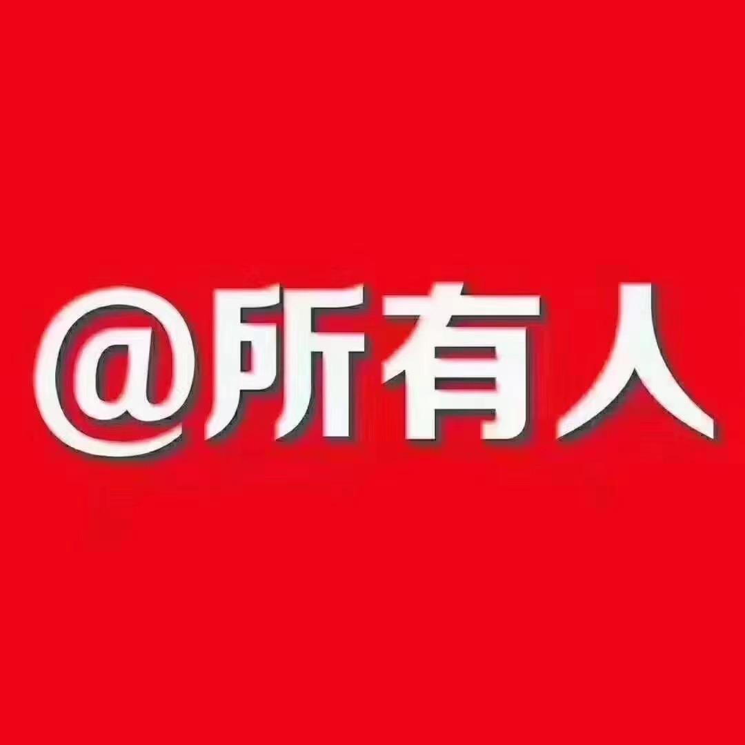 大众迈腾 车友们，有用过米其林和普利司通的朋友推荐一下选哪个