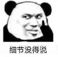 宝马5系 有自动泊车功能么