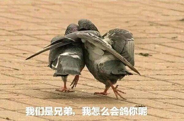 大众迈腾 大众cc 380夺目版 落地二十六万四 价格贵不贵