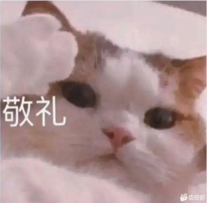 标致508L 老哥们 最近一直在看508 想咨询几个问题 22款驭动版的车机和驾控版不一样吗，驭动版那个app里面都有什