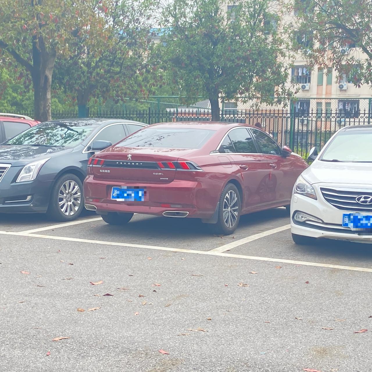 标致508L 马上毕业了，打算买白色驭动圈里有白色驭动或者激情的拍点小狮子的帅照给小弟观摩观摩???（因为驭动激情都是1