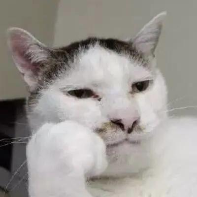 福特蒙迪欧 我人在东莞，有没有那为老哥可以分享分享一下时尚和豪华的价格的！谢谢了，想在10月份去看一下