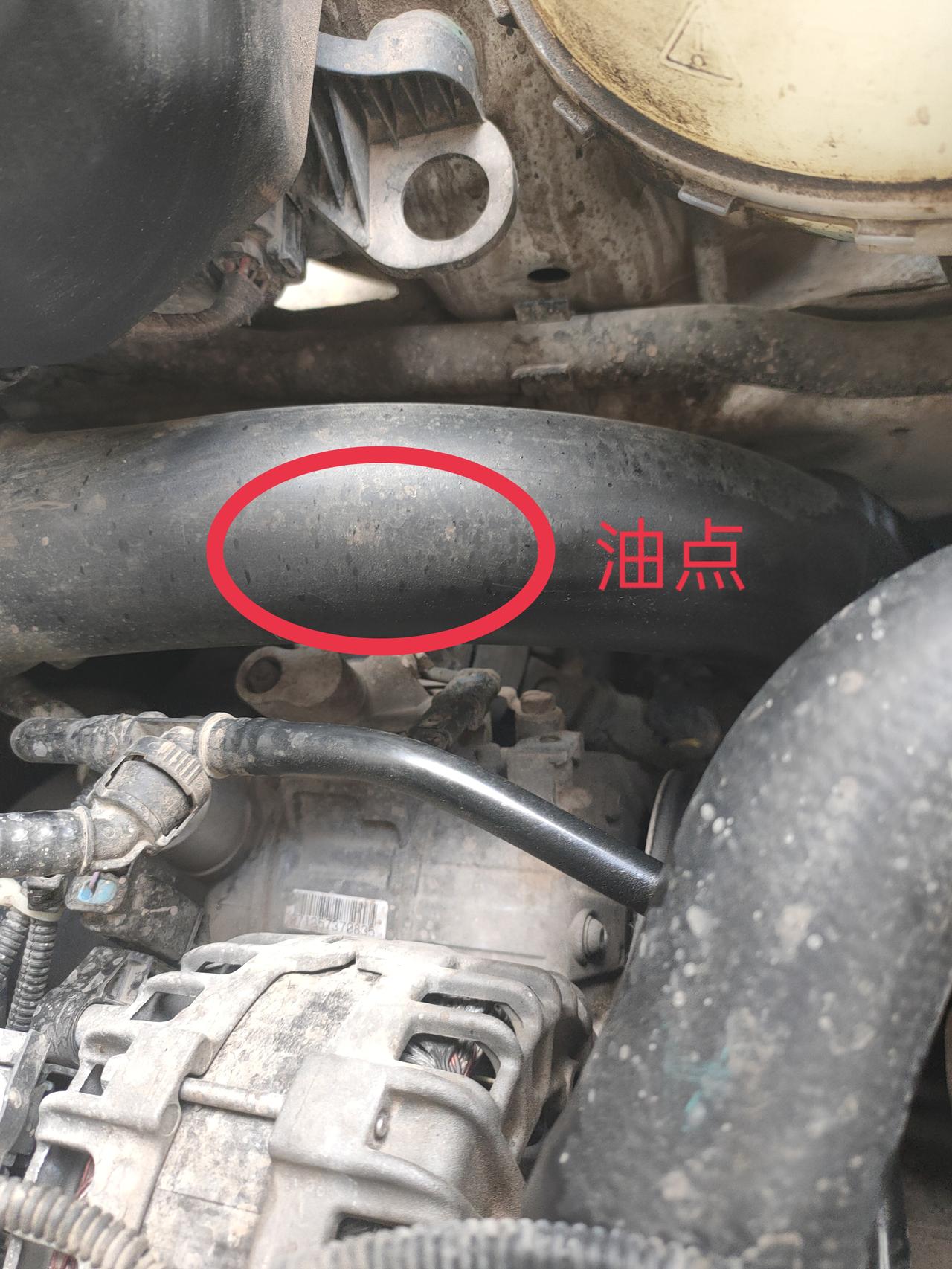 宝马3系 15款n20四驱，找不到漏点