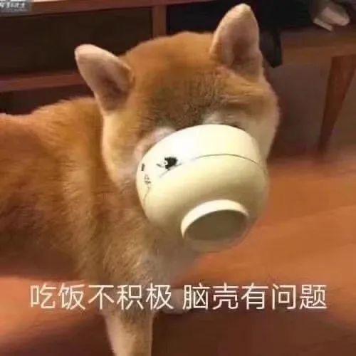 宝马3系 宝马325Li35Ｗ，和奥迪Q5L低配35Ｗ怎么选择，因为之前第一辆车是SUV，试驾的时候感觉325Li不适应