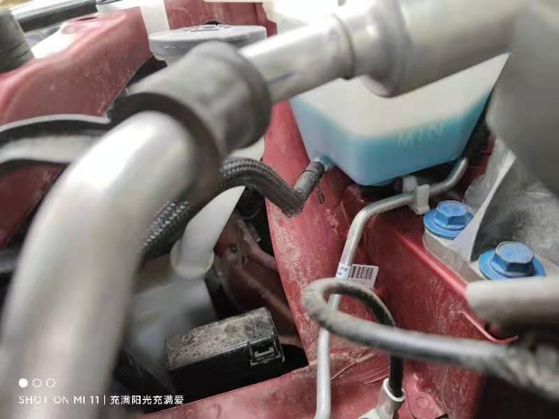 日产轩逸 大佬们，天籁加什么牌子的防冻液，我感觉我的防冻液要快没了？四儿子店会帮忙加吗