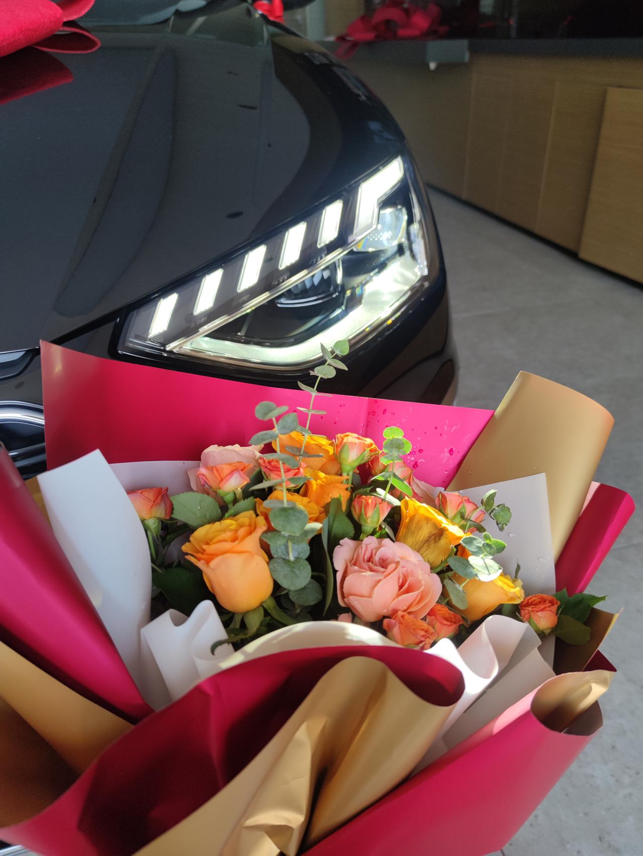 奥迪A4L 求助一下。这个原车倒车影像太他妈辣鸡了吧，有没有什么解决方案啊？是不是更换好一点的摄像头就行？？？