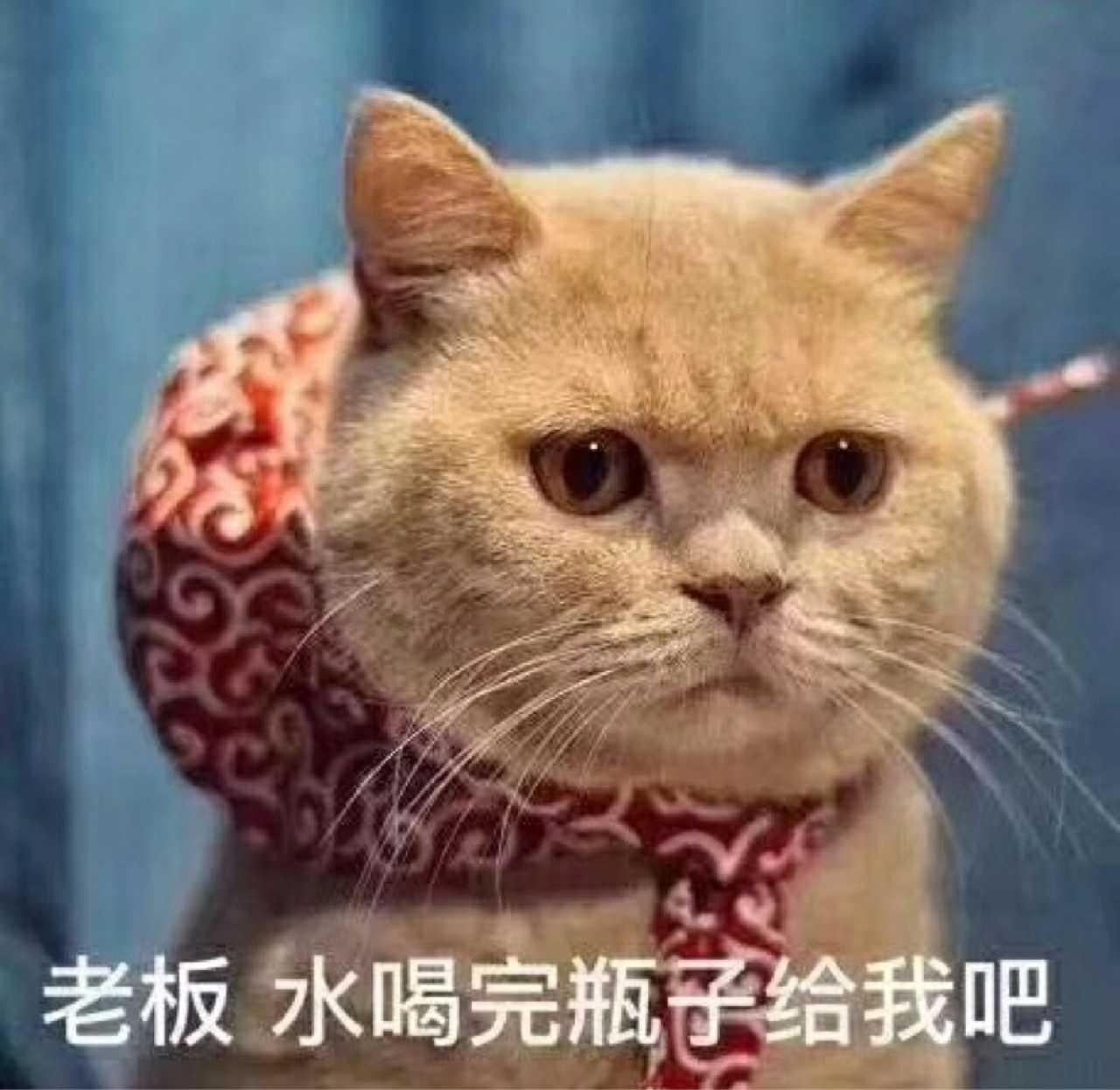 别克君威 兄弟们，顺德这边552精英多少能落地啊？