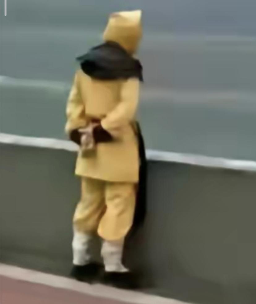 吉利星瑞 每次刚靠近车子解锁的时候，车头里面就咯吱咯吱的响，我的是21款豪华，你们的有吗？