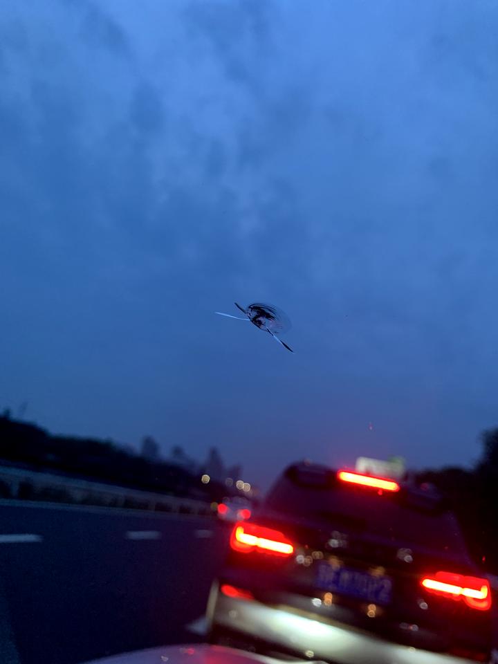 宝马3系 21款325前挡玻璃4s要多少钱啊