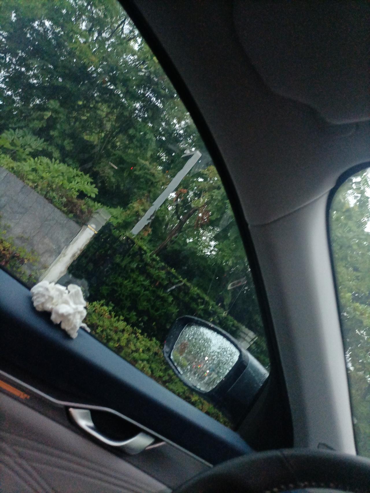 请问各位大佬，下午时你们的星瑞，左前门漏雨不，