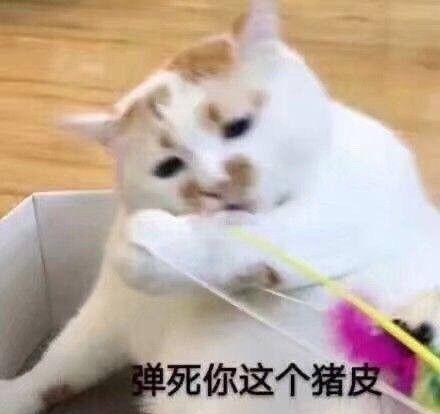 吉利星瑞 想问大家一个问题，假如在别的地方买的车，首保和赠送的4年12万公里保养能在本地方的4S店用嘛