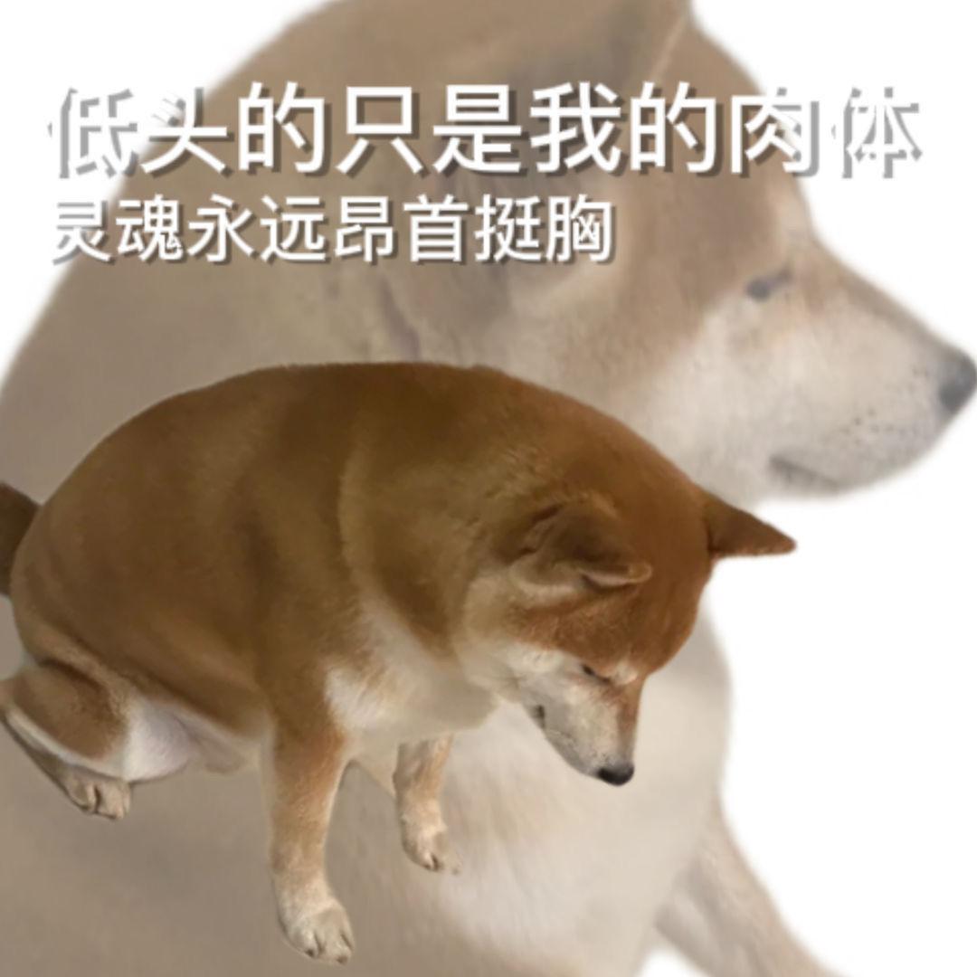 吉利星瑞 目前工资六千多点，想买尊贵版的想问下老哥们首付准备多少比较好，月供我想的就是三千以下就行，老哥们给点建议吧