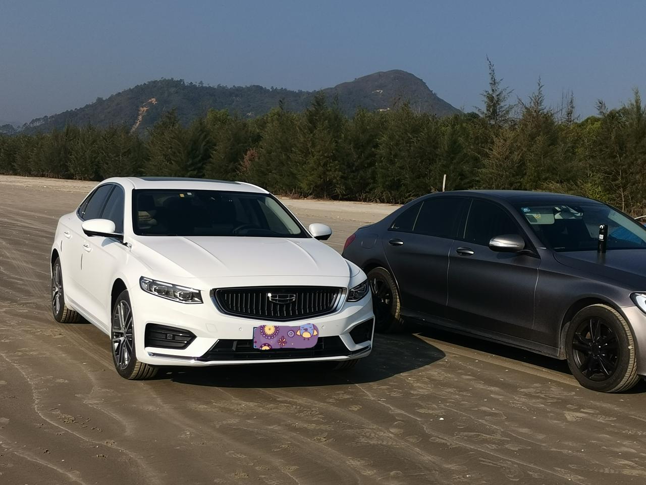 吉利星瑞 大家有没，碰到停车时间长了，启动后，手刹松不开的情况，挂上挡轻踩油门车不动，然后中踩油门，后面就会嘎吱一声，车