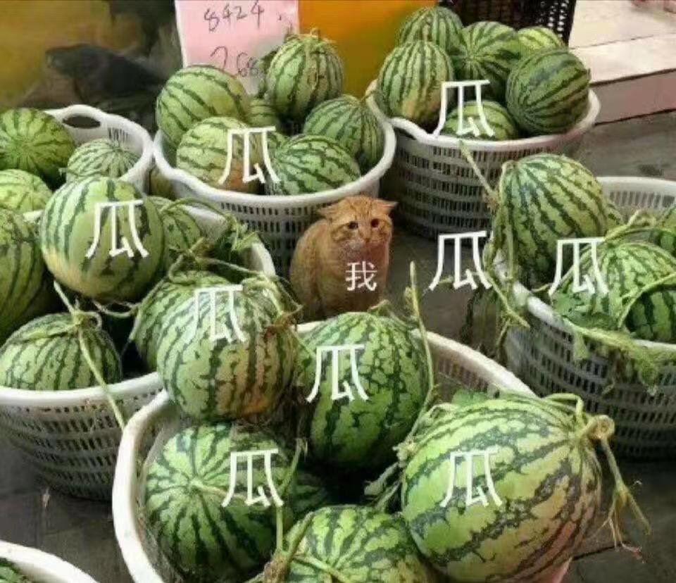 车友们，我现在是真的挺头疼的了……准备定逍客2021款2.0L CVT豪华版，官方指导价16.88w。4S店现金优惠2.
