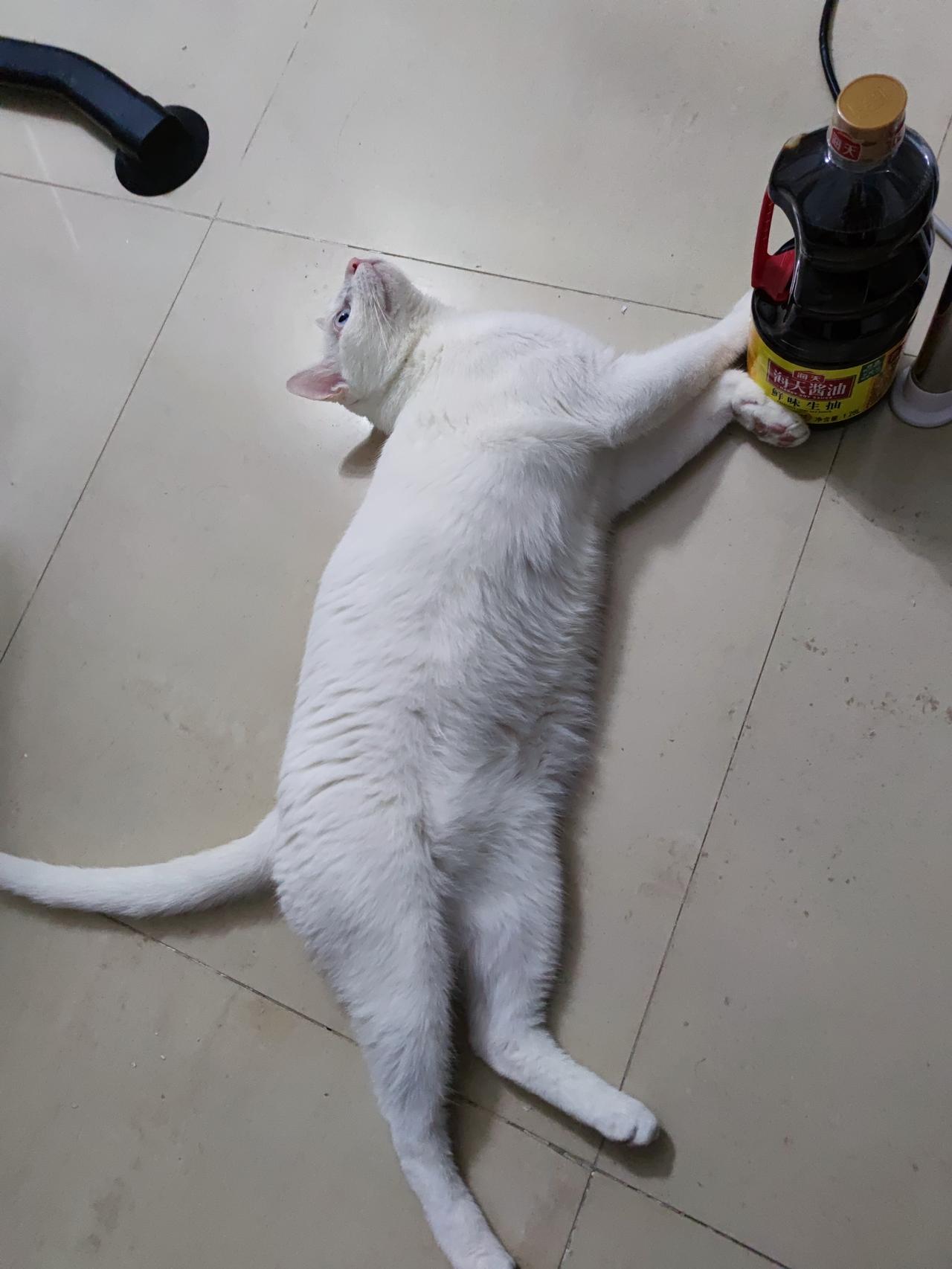 比亚迪驱逐舰 05 3月20订的还没车，是被插队了吗？