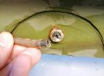 依维柯欧胜 依维柯2046喷玻璃水的这个叫啥啊  断了连接喷水嘴处 怎么买