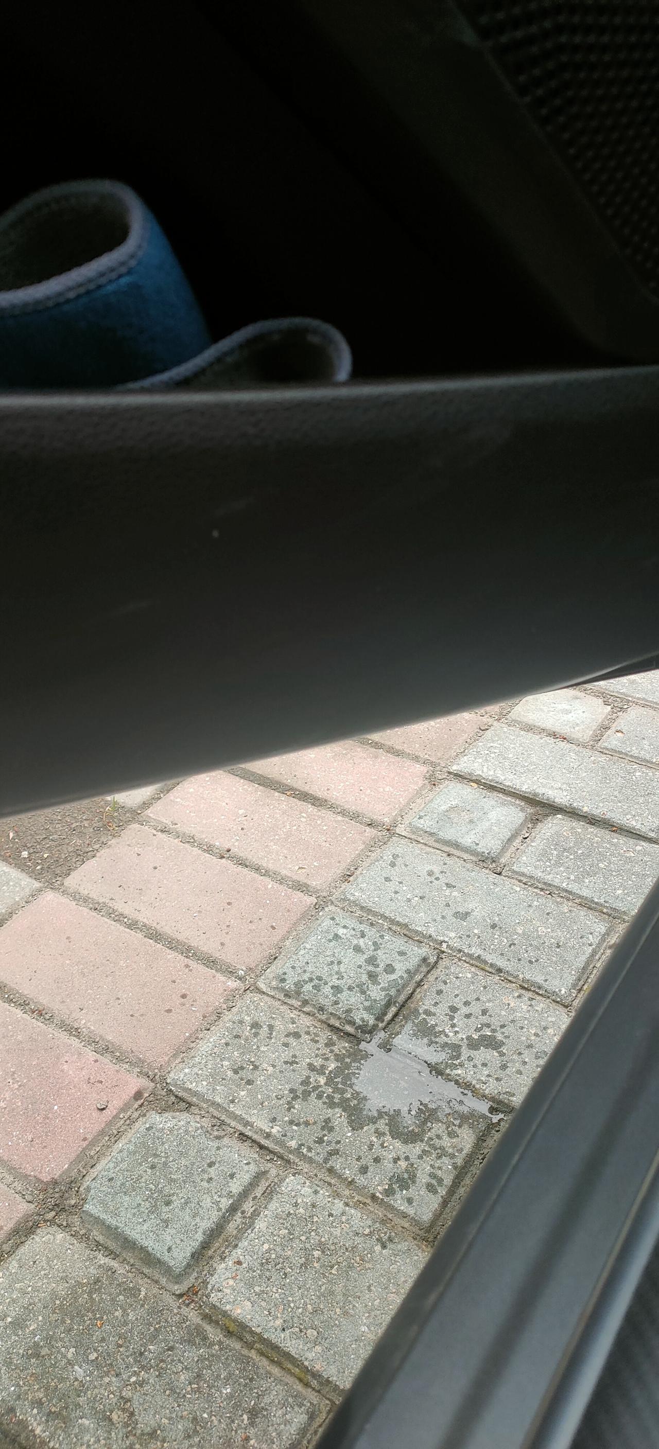 起亚K5 雨已经停了几天了，打开车门底部有水流出来，是排水口堵了还是正常？