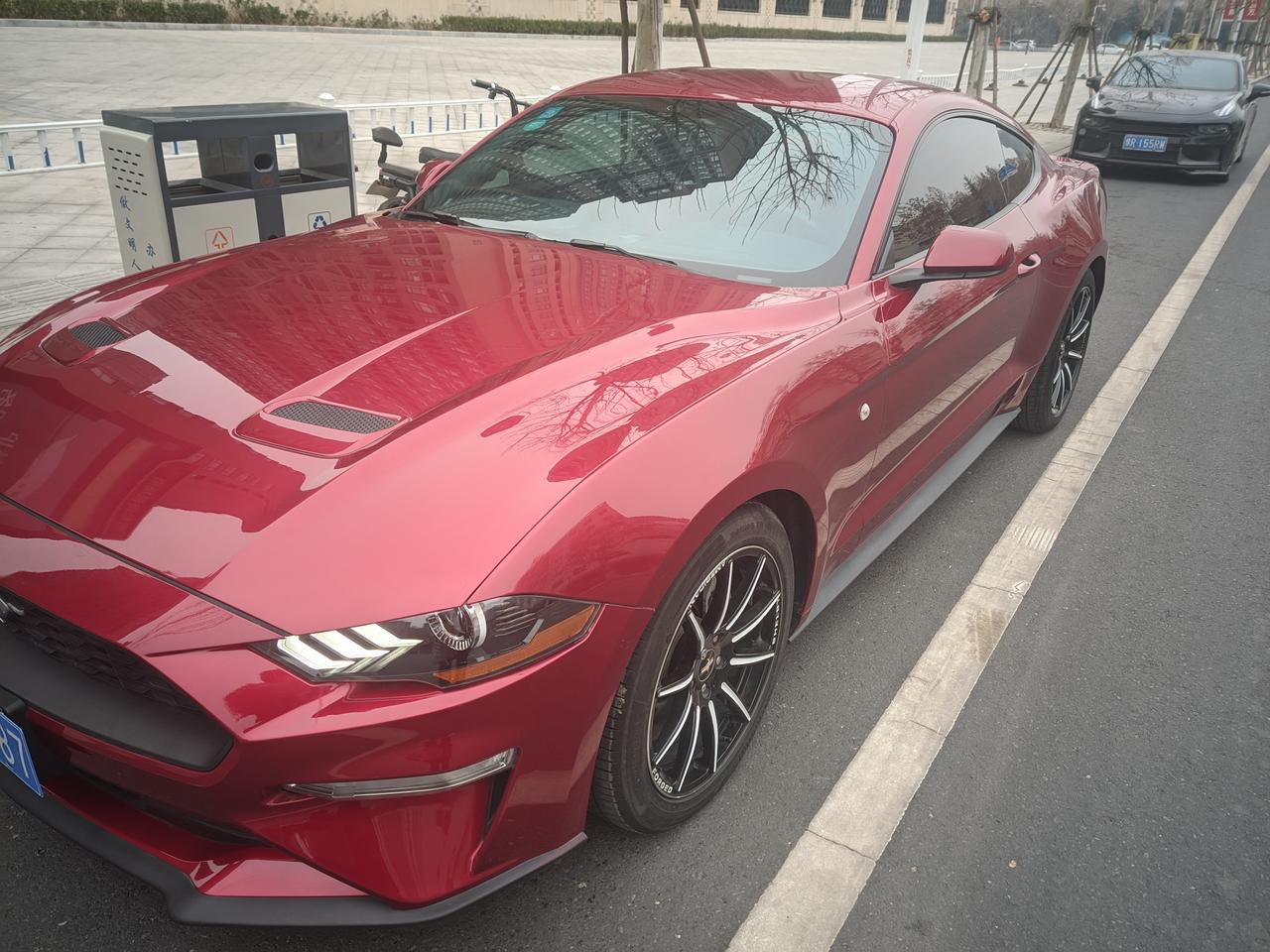 福特Mustang 有没有河南的车友群啊，坐标漯河