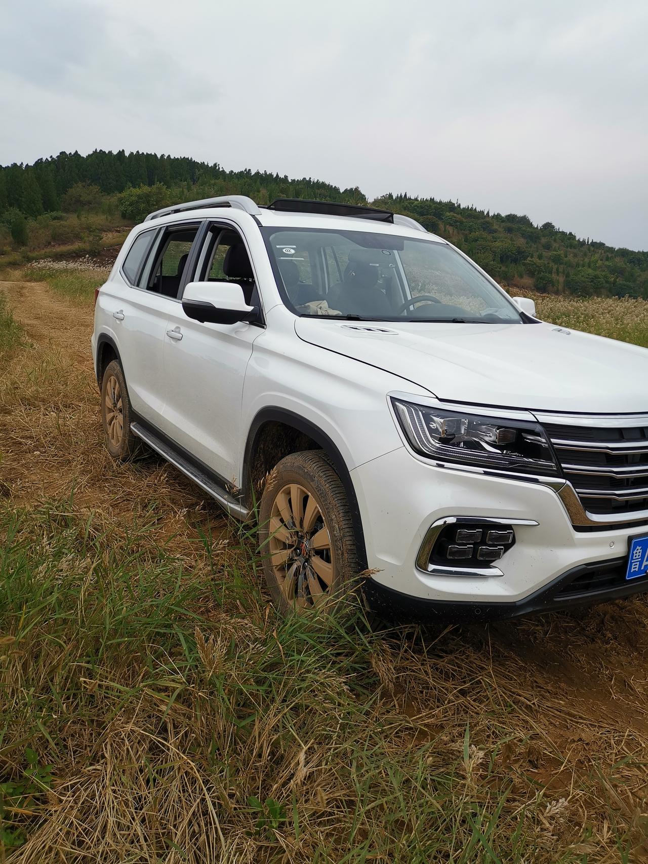 荣威RX8 RX8次顶配，10月1号提车。裸车价17.88万，购置税15726元，保险4810元.上牌150元，另外购买