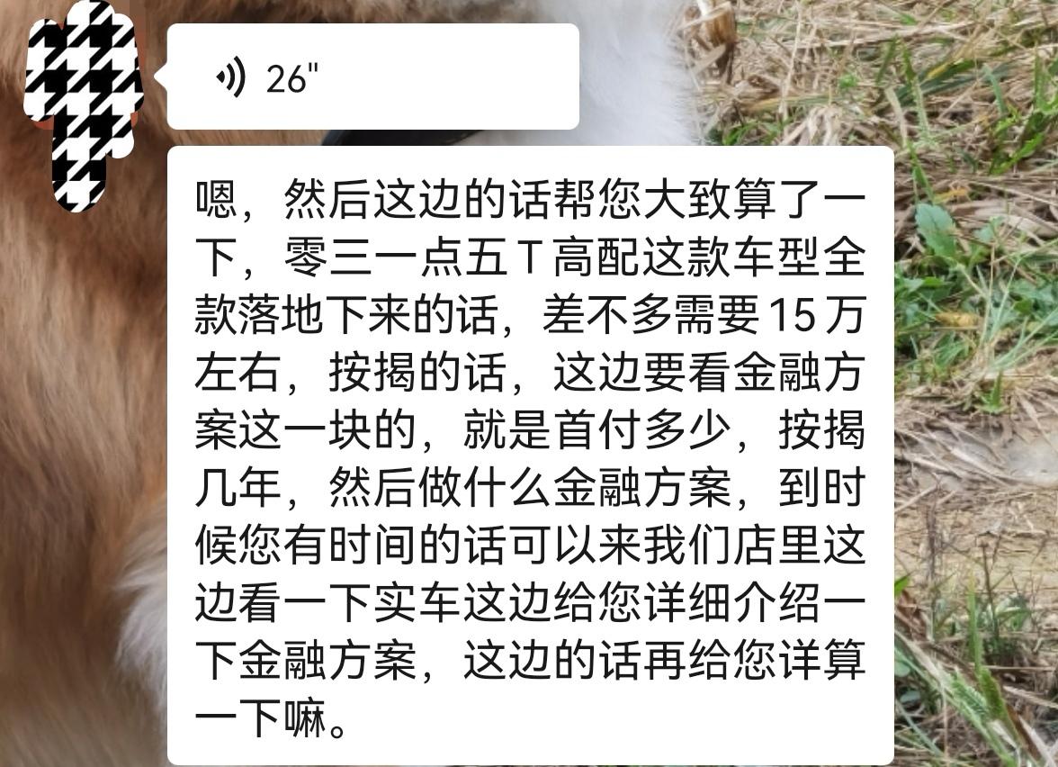 领克03 最近有朋友去店里问03价格的朋友嘛？今天加了一个销售问了一下价格，全款落地15左右，贷款的话再加上手续费什么的