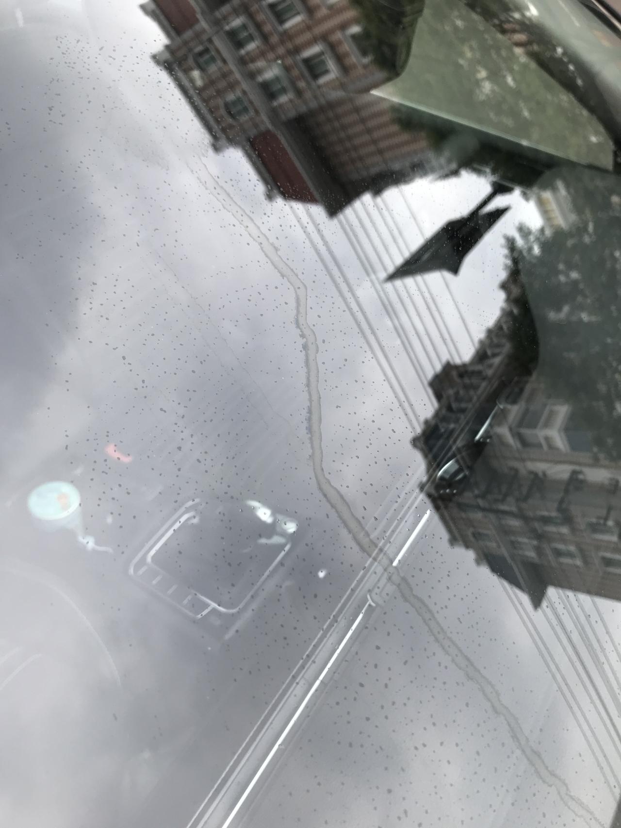 大众迈腾 挡风玻璃上这样的水印擦不掉  有办法吗亲们
