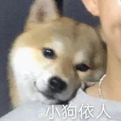 领克03 03+你们的方向盘怎么保养的，万一包浆了怎么处理？整个换？