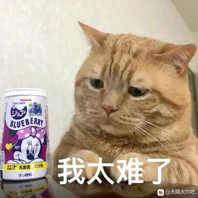 哈弗H6 车款56900，保险4500，上牌加抵600，手续费3000，购置税10256.7，贷60000，这价格三代1