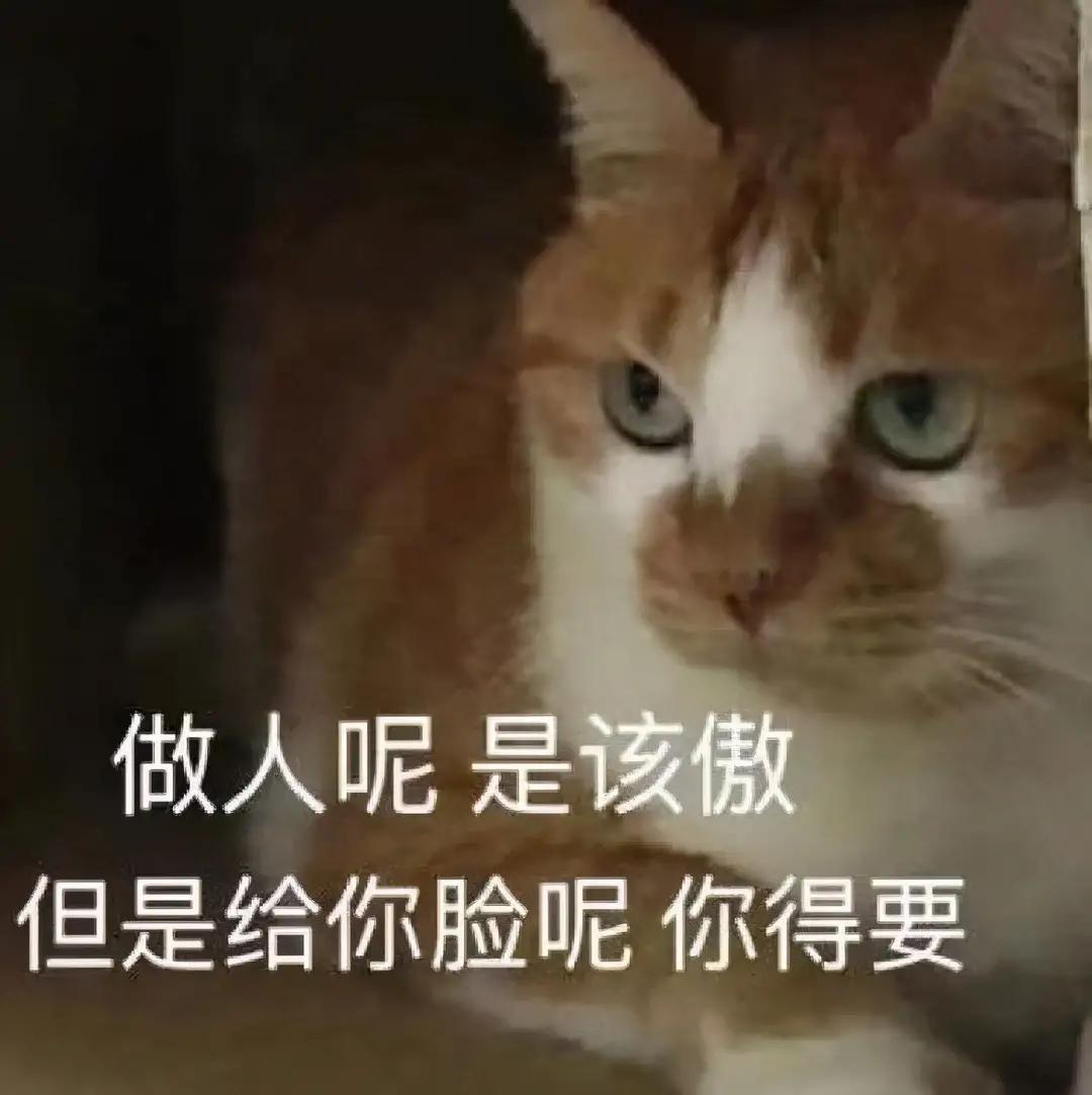 大众迈腾 想提330领先版但是看着 液晶仪表盘有很好看  请问选装夜景仪表盘大约多少刀？