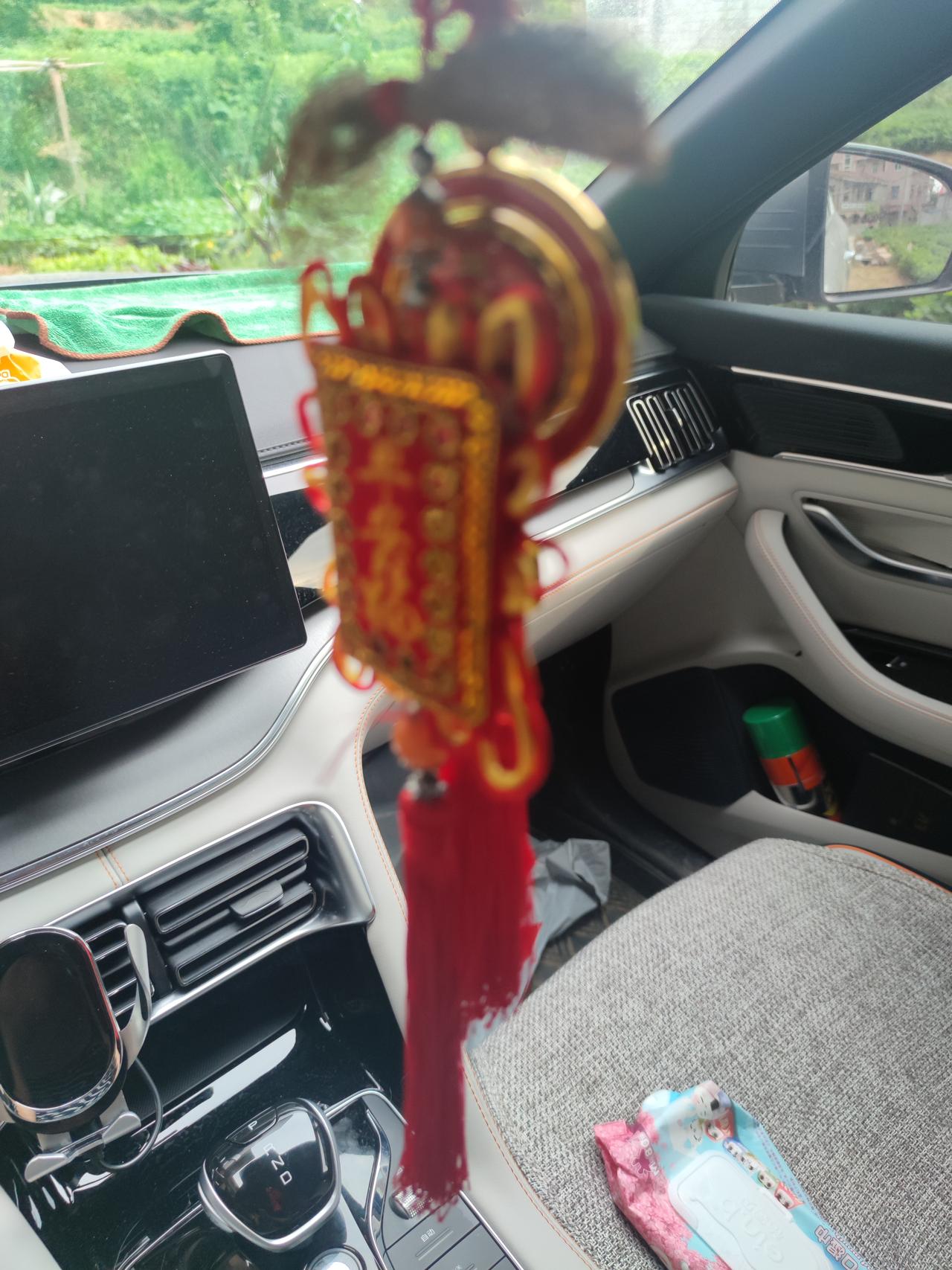 比亚迪宋PLUS EV 大家有没有偶尔解锁车门 在里面副驾驶开不开 重新锁门再解锁才能打开门的情况
