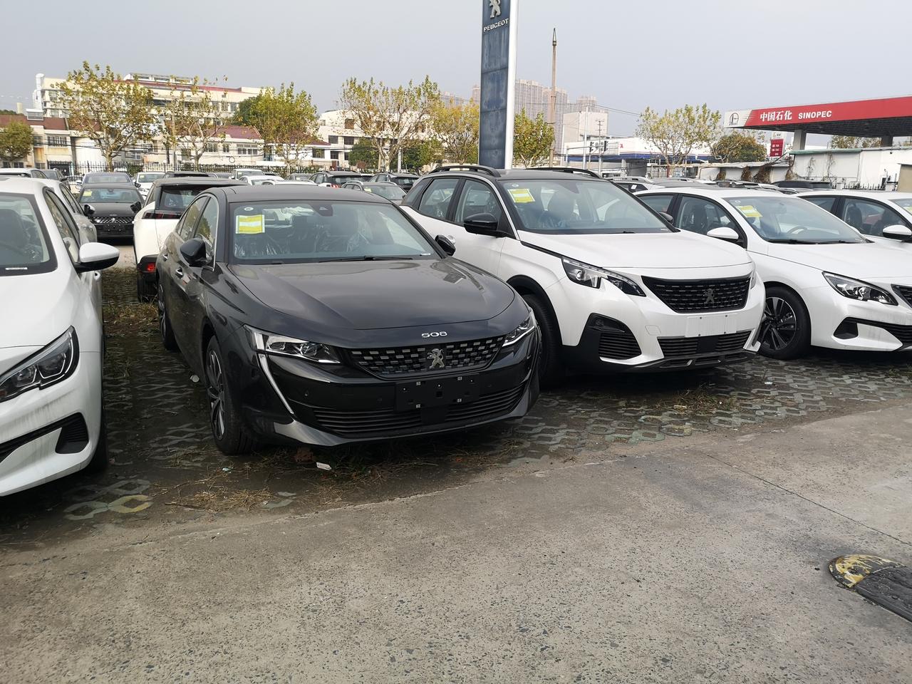 标致508L 508L驾趣版 2021款硬件支持刷P1包？  有的说要加装三角窗摄像探头，有的看到帖子说需要加装，也有说