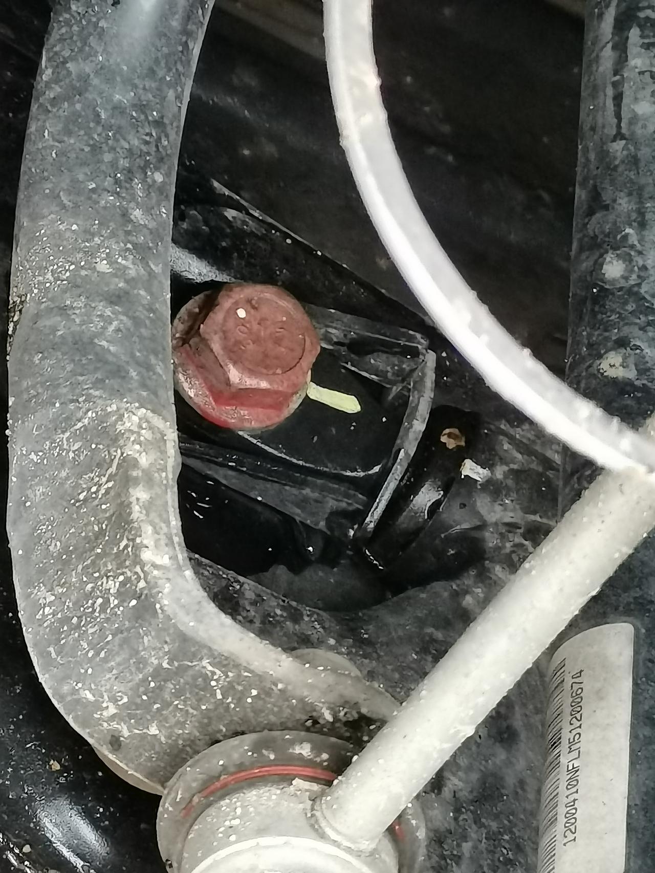 比亚迪宋PLUS EV 这几个螺栓是不是生锈了？宋plus ev顶配才一年。看着又好像是涂的东西？轮胎补胎，拆掉后没事往
