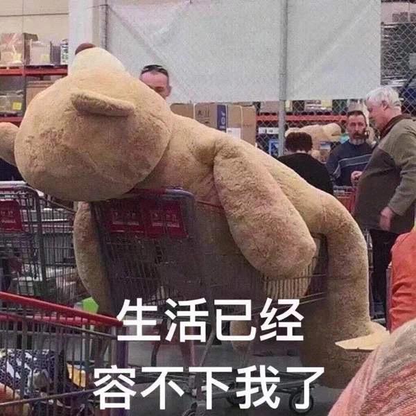 福特福克斯 准备提车的小伙伴 是不是都没买那个888官方出行补贴呀 有多少人提车啦 都是在那个城市呀