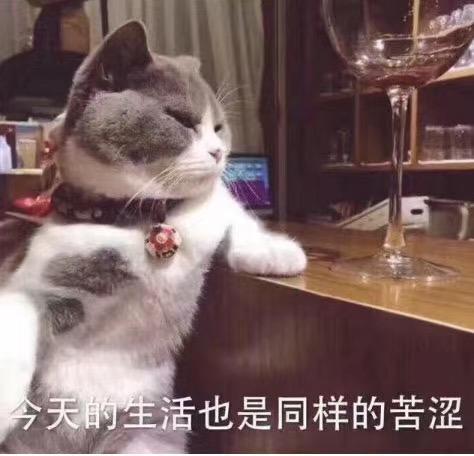 阿特兹为什么识别不了无损格式的音乐只能识别MP3