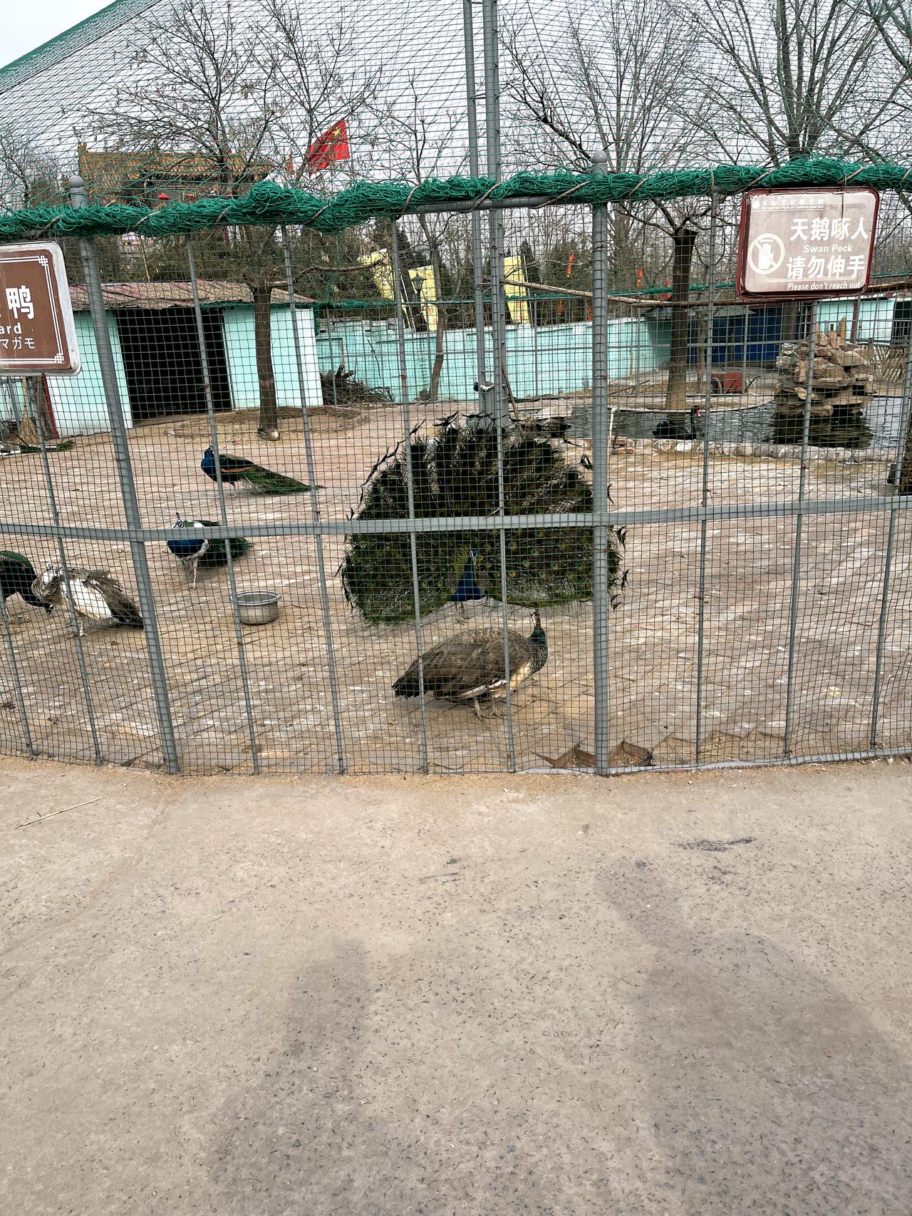 魏牌摩卡 内饰黑色和棕色哪个好看啊兄弟们，全黑内饰没见过实车有黑内的朋友吗？