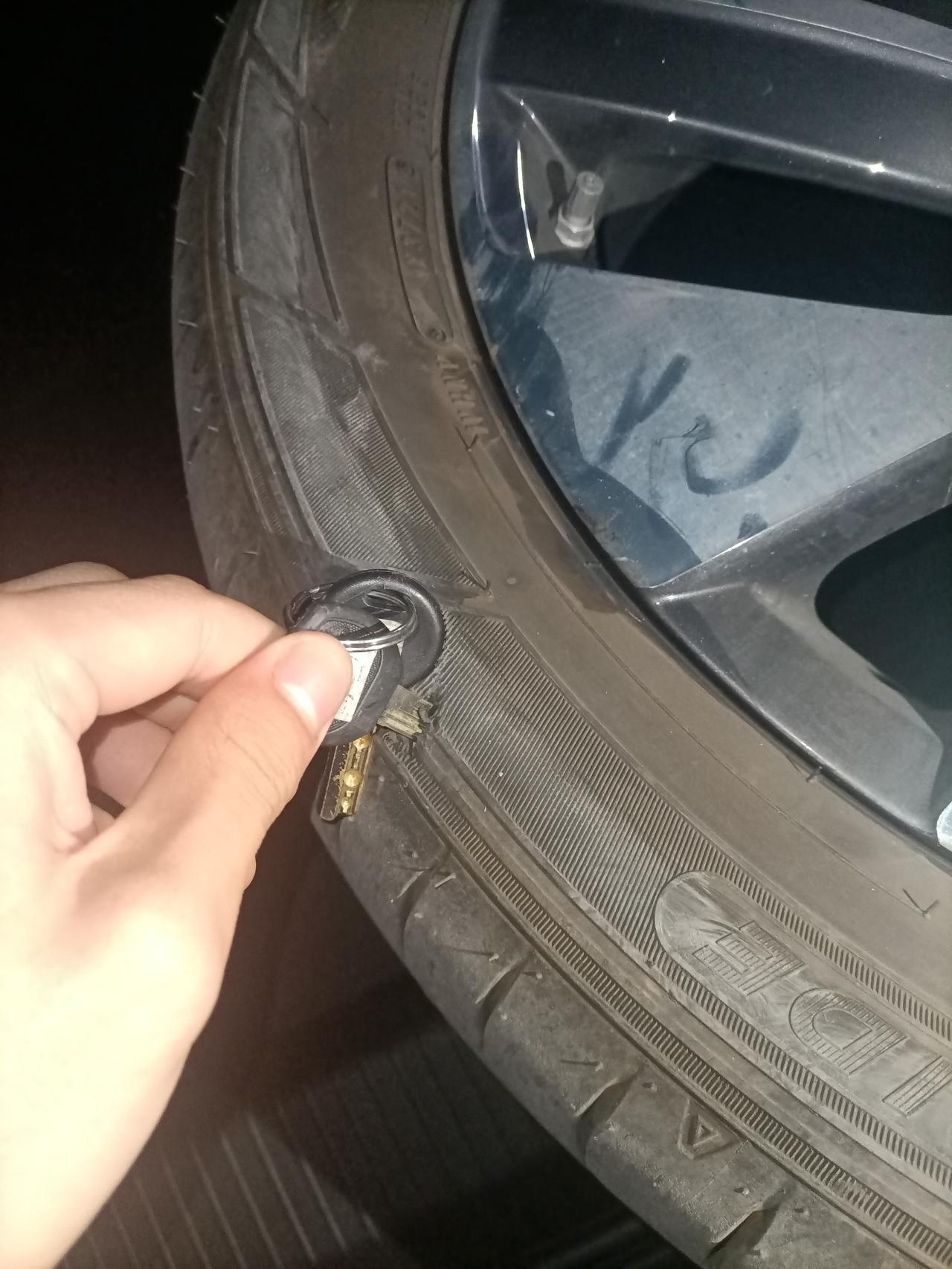 大众探岳X 问问各位车友们，一条轮胎废了多少钱一条，你们有换过吗，品牌是邓禄普，就想知道价钱，以免被人坑