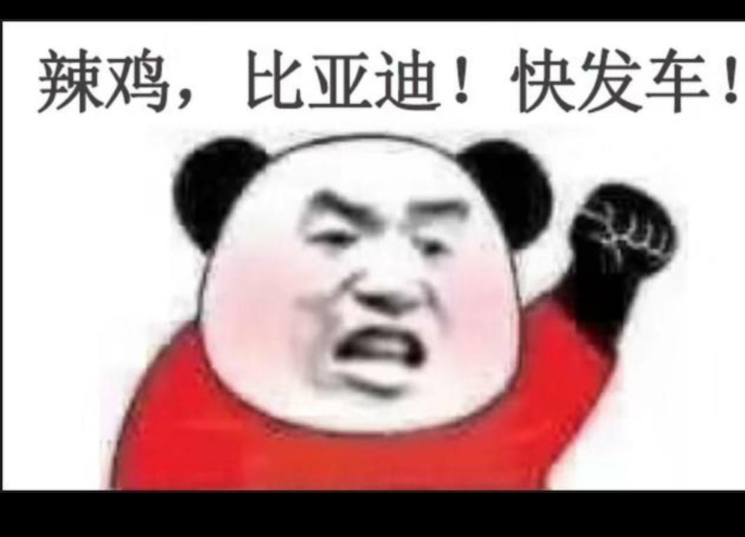 比亚迪宋PLUS DM-i 如果有车宁愿不要优惠