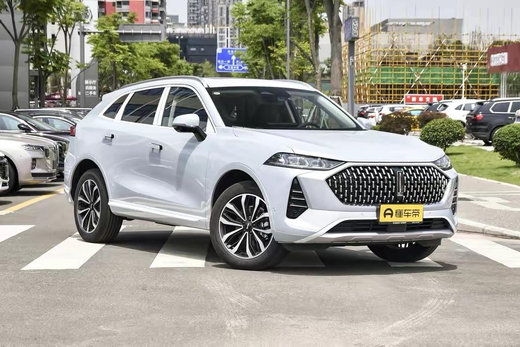 魏牌摩卡 兄弟们 周六跨省提车需要注意什么呢？在线等！！