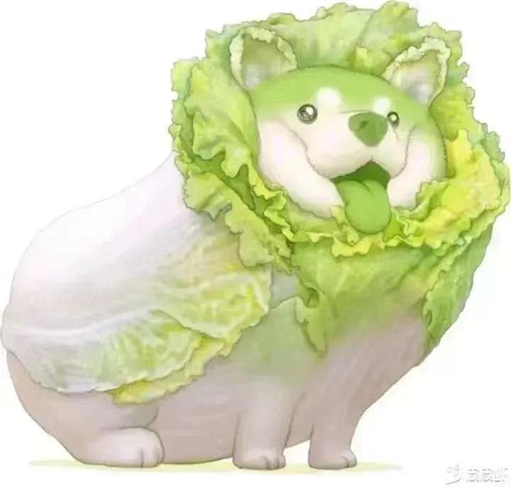 我是一个小白，我个人喜欢运动风格，有颜值，故障率低，耐用，选一个自己家用的，经济适用行得价位在10万到12多；只前我挺喜