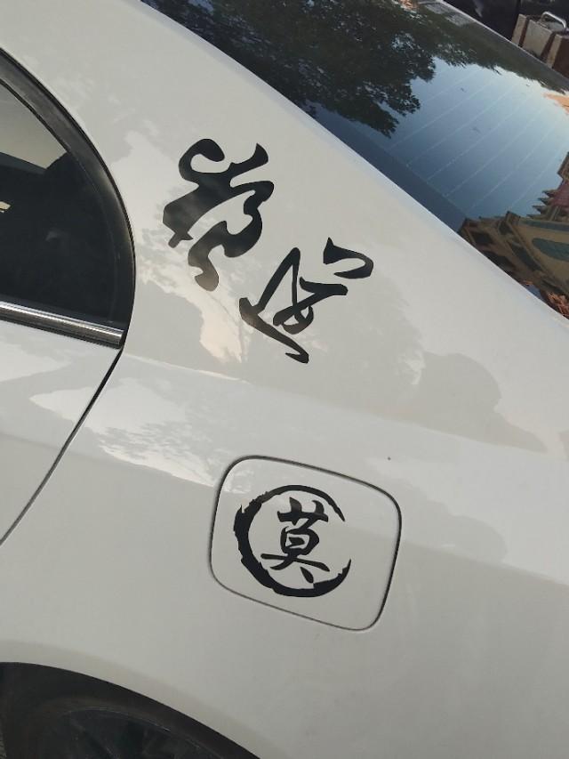 轩逸-这几个车，你觉得怎么样？