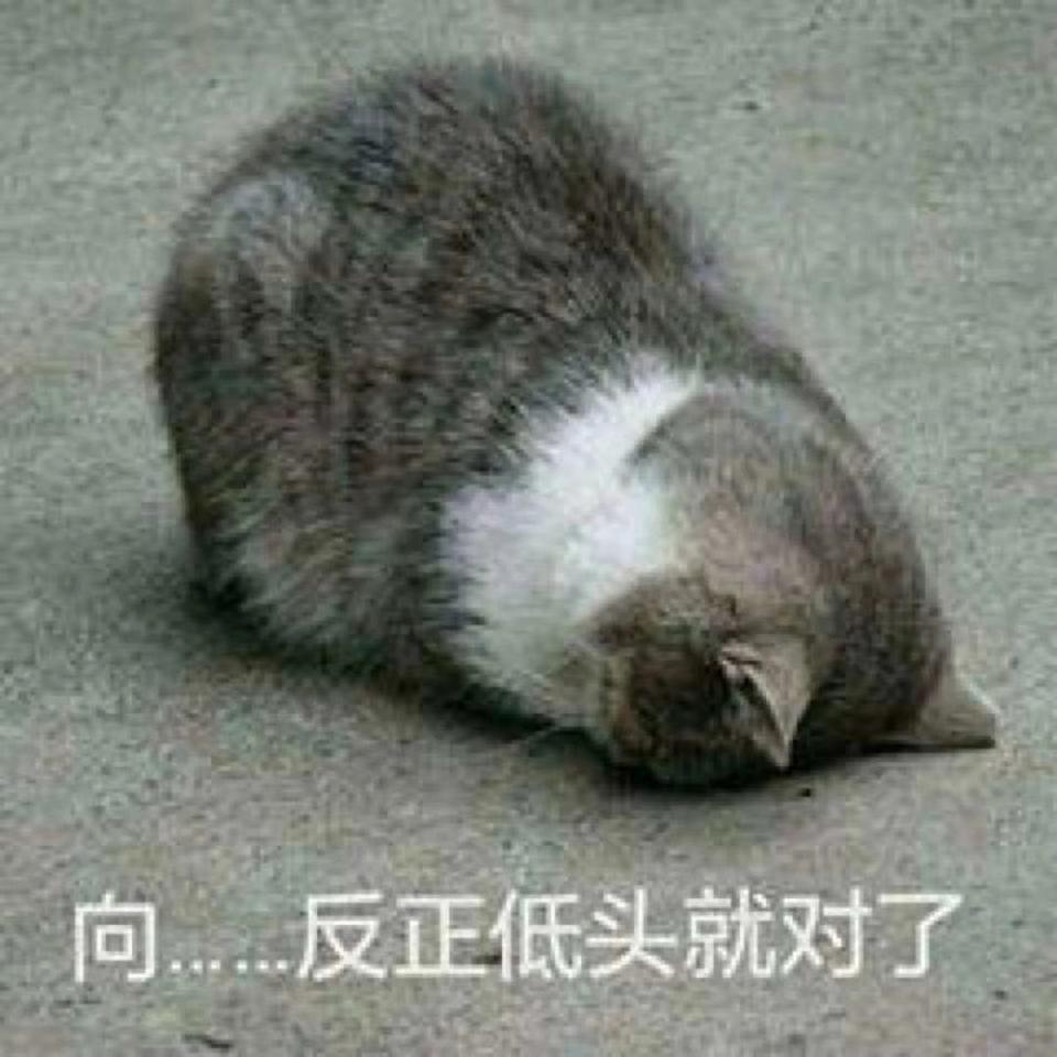 雅阁-各位车友们，有人用实木脚垫么，最近想搞一套，不知道怎样