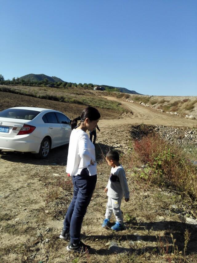 本田思域，可以更换原厂轮胎？在四s店的时候就要求把轮胎更换为其他品牌的轮胎，例如米其林的是不是静音性会更好一些呢？