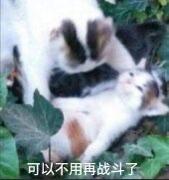 马自达3 昂克赛拉-昂克赛拉能跑滴滴的顺风车吗，最近常州恢复顺风车想试试看，求解