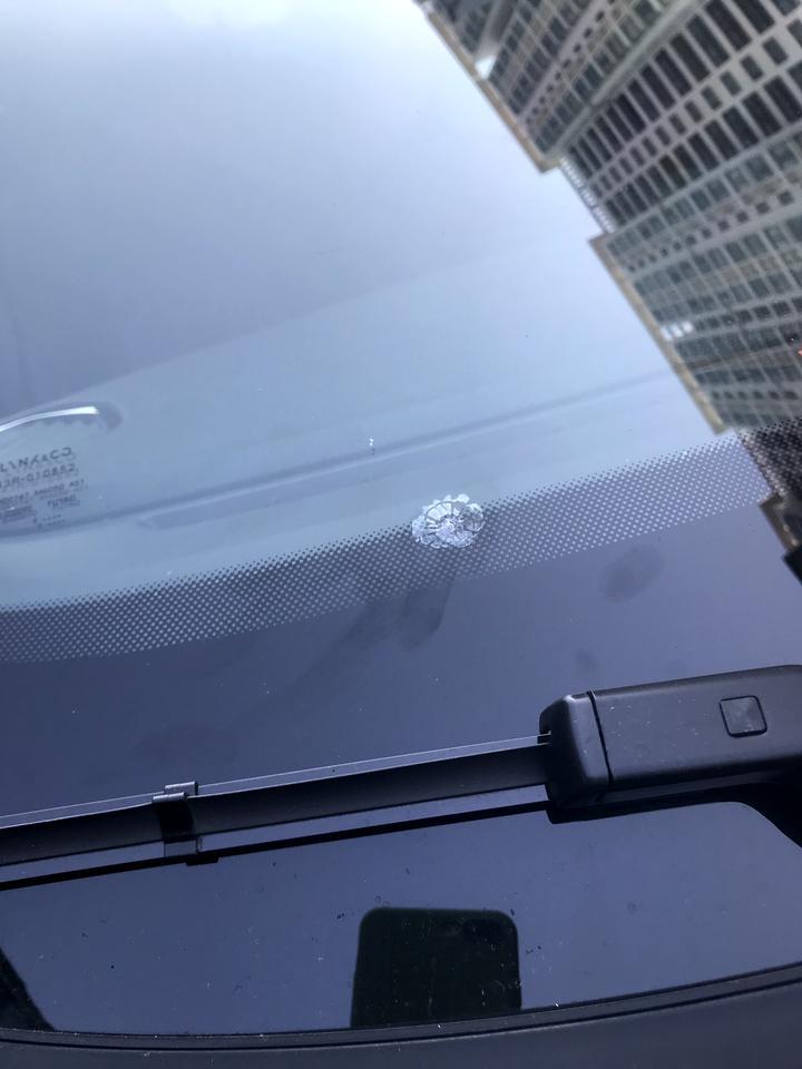领克03-新车不到一个月，有必要去弄他吗这个。被小石子射到大概一个硬币大小