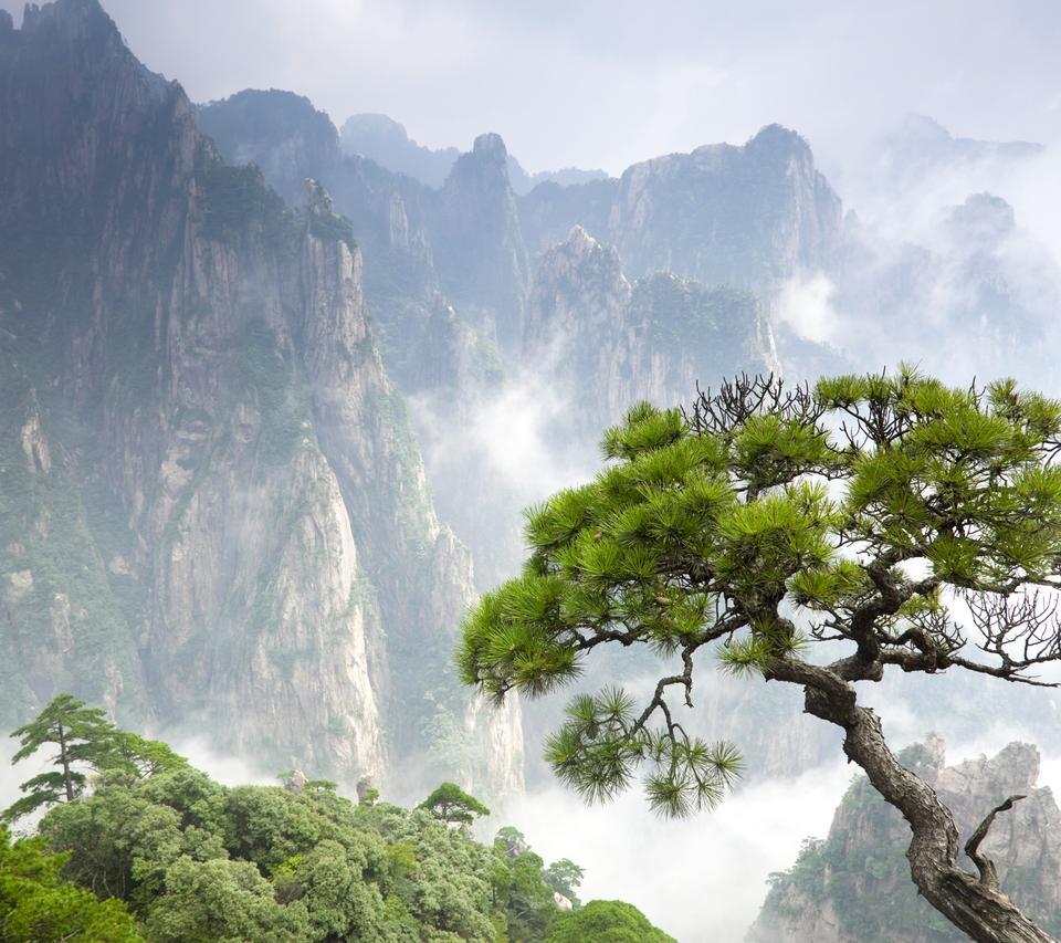 媳妇自开，相中君威，请问各位大神，君威使用中的小毛病有哪些，我好斟酌一下，还有传说中的高位刹车灯漏水，有这么回事吗？