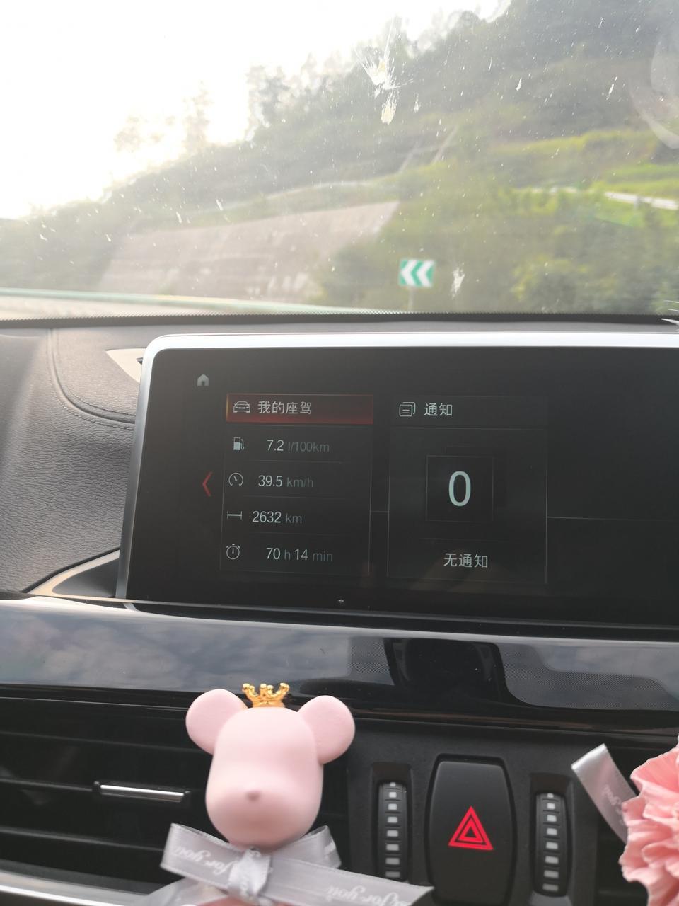 宝马x2(进口)-跑了一千五左右的高速，油耗如此，不知如何？  还有个疑问，进气格栅太宽，虫子都死在水箱前面，怎么处理啊？看起好脏哦！！！！