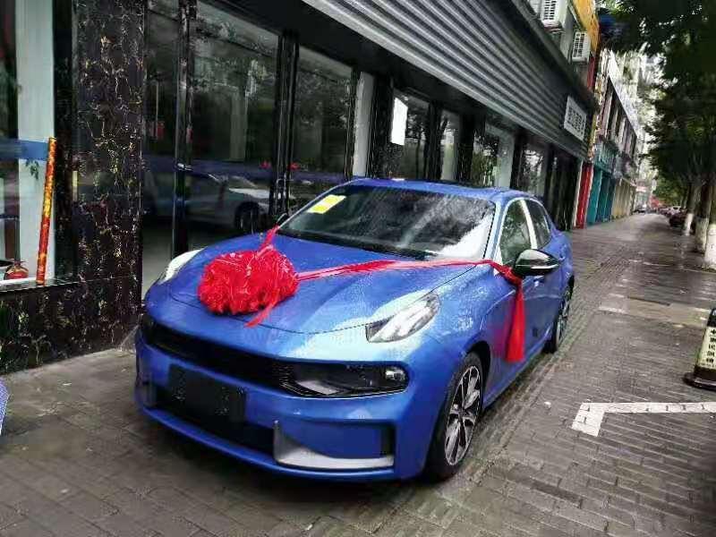 领克03-各位大神，求解这是个什么车？