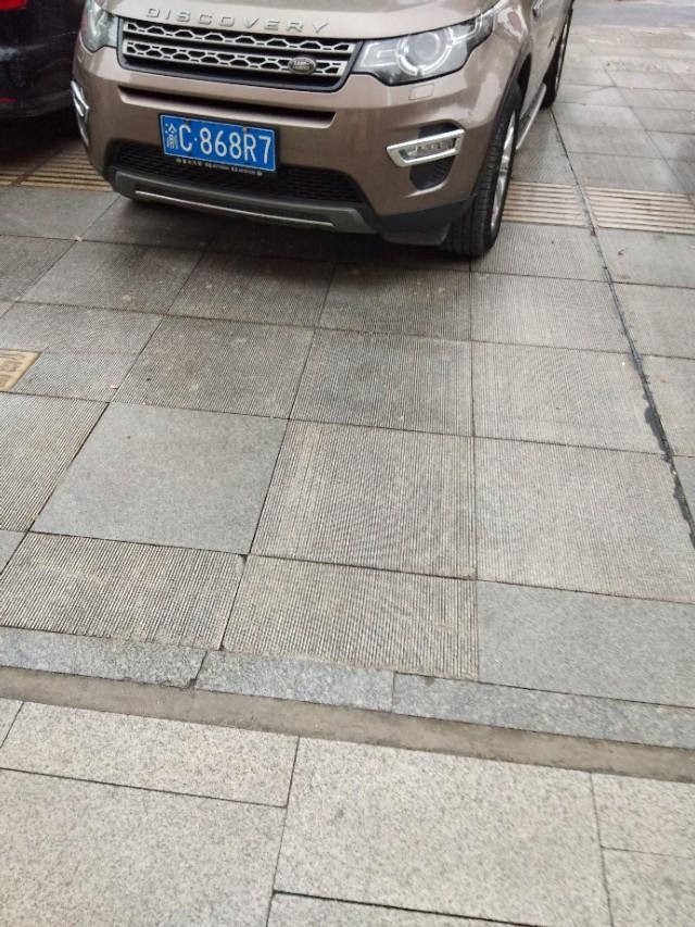 卡罗拉-你喜欢这种类型的的车吗？设计的不错吧？
