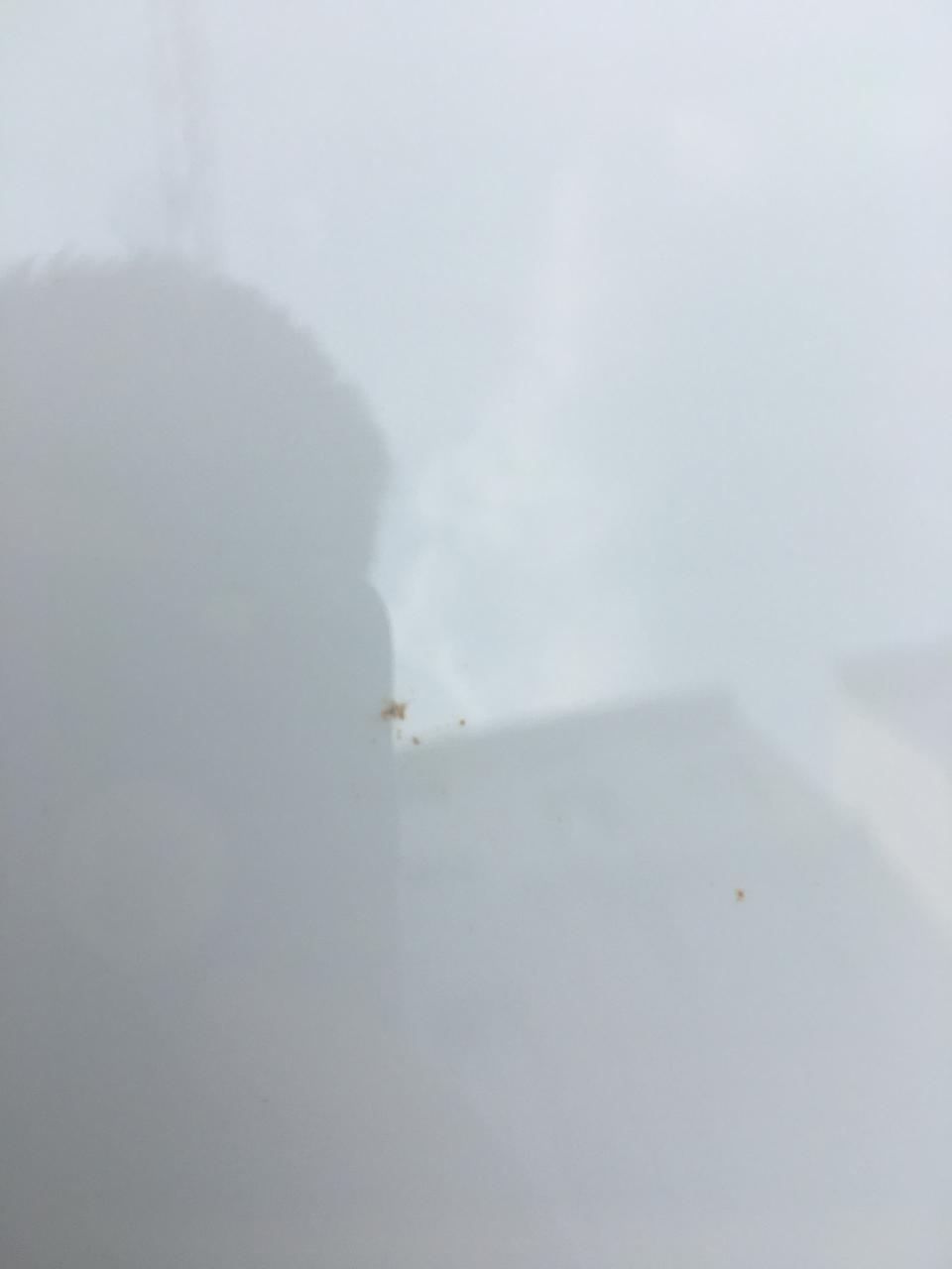 朗逸-刚提车1个月。车是3月份的。车上有这种黄点 很难擦看着像锈斑。这种情况在正常吗