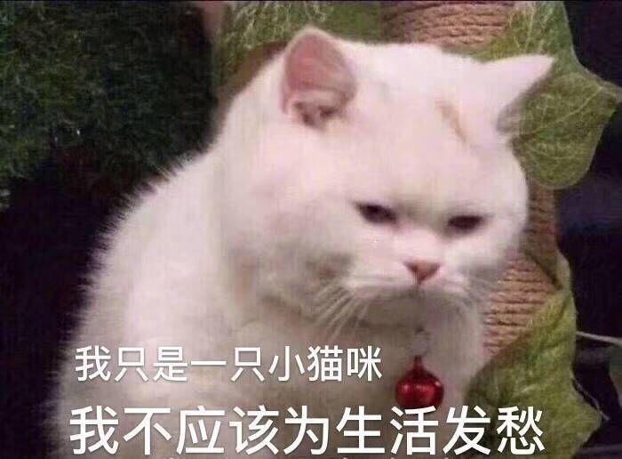 马自达3 昂克赛拉-17款小昂  今天早上加油的时候发现油枪在还没加满的时候就提前跳枪两次。。这是什么问题啊？车子刚做完二保一个月