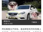 北京bj100-哈哈哈，这些车标要笑死，到底谁设计的？不知道设计这车标的人看到会怎么？